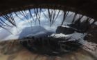 eyescape